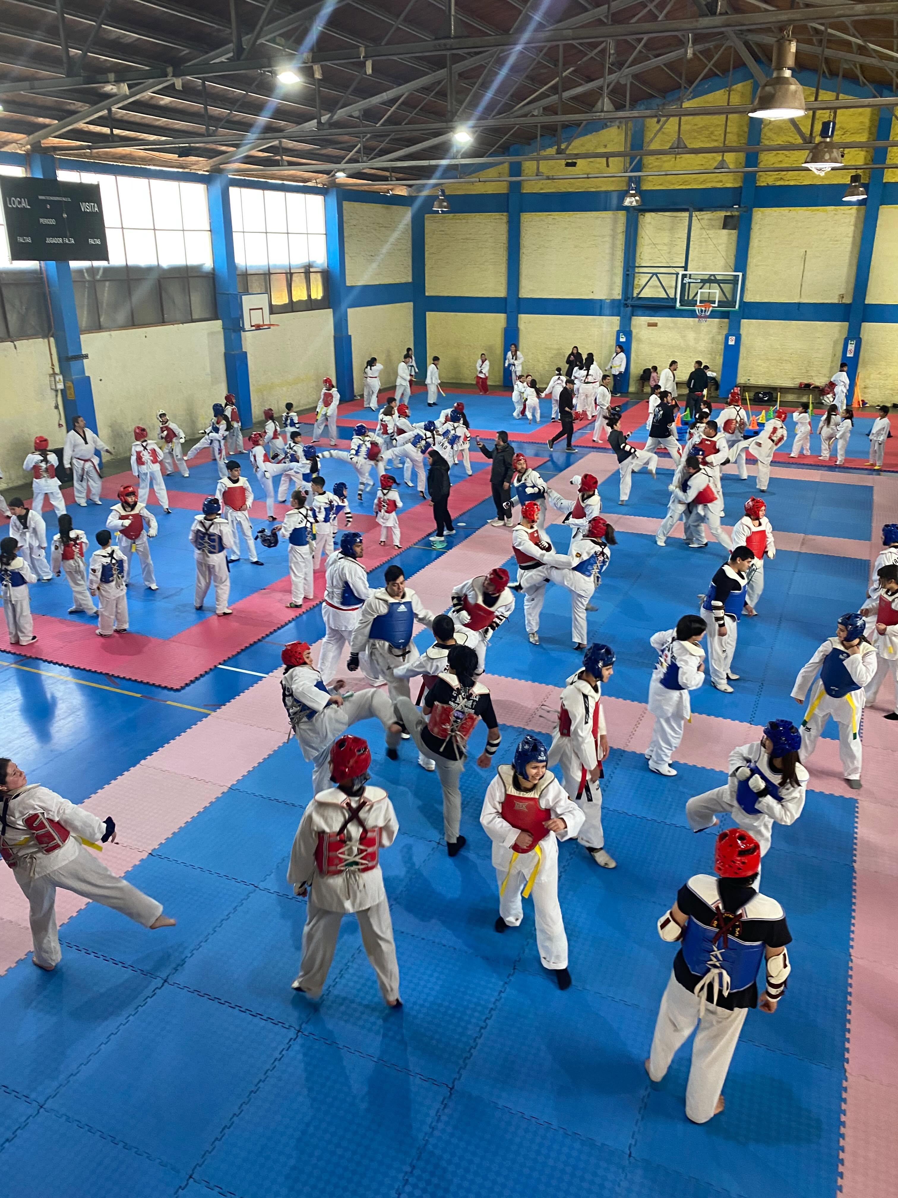 Entrenamiento colectivo de Taekwondo de Escuela Fénix en Rancagua